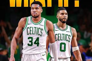 蜘蛛直播_蜘蛛直播足球在线观看_蜘蛛直播NBA高清直播